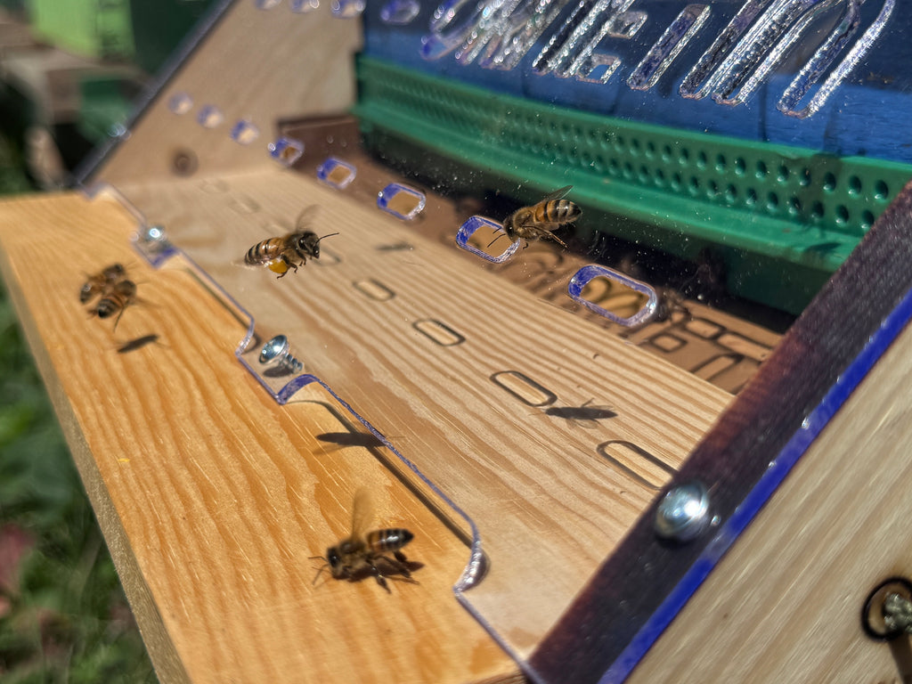 How to assemble the protection against Asian hornets