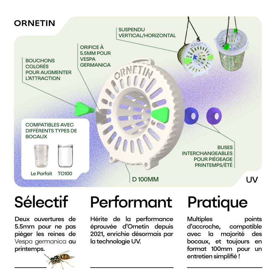 Ornetin UV piège à frelons