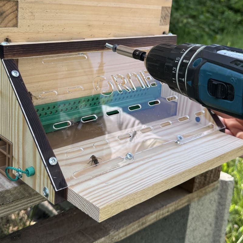 Person using a drill to install Ornetin Muzzle against yellow-legged hornets (Vespa velutina) on the beehive 