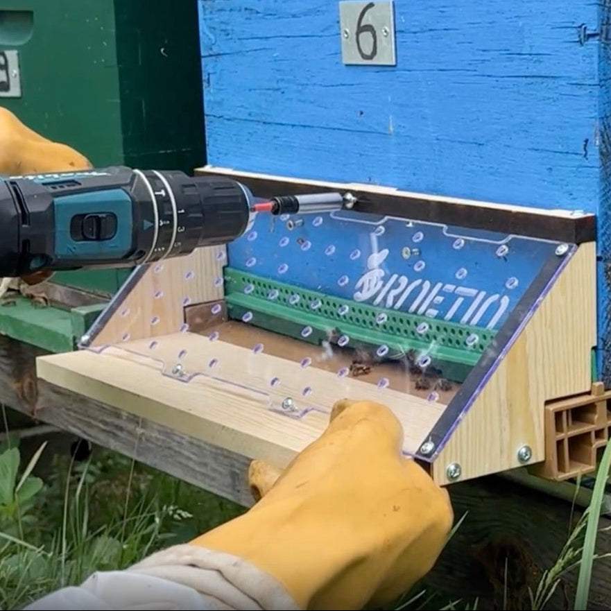 Installing Muzzle anti frelon asiatique