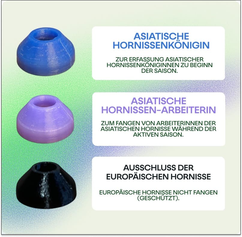 Ornetin-UV-Düsen zum Ausschluss von Königinnen, Arbeiterinnen und Europäischen Hornissen.