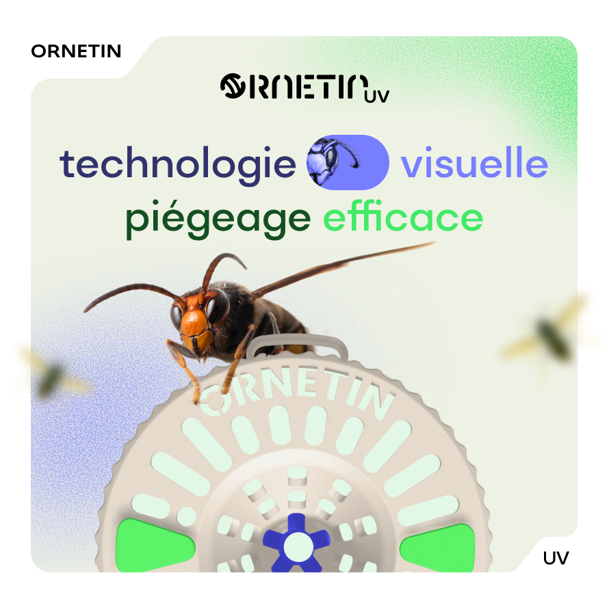 Ornetin UV echnologie visuelle