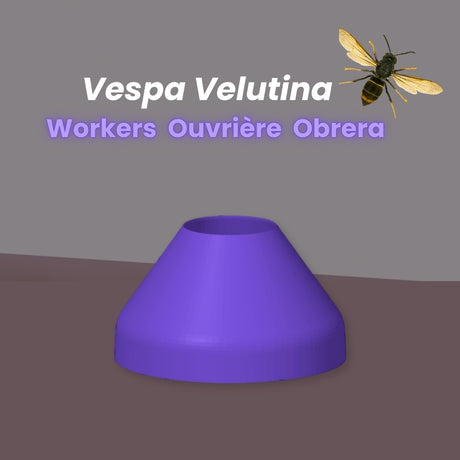 Purple color Vespa Velutina Worker Nozzle for Ornetin UV trap
