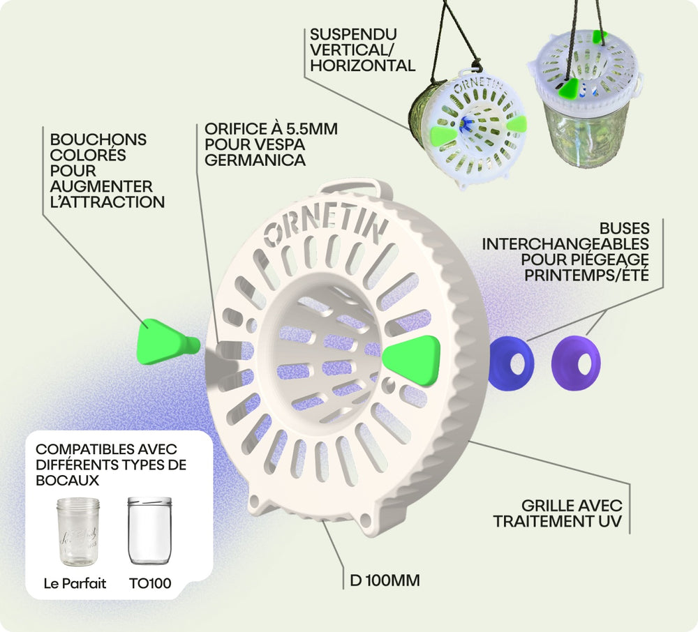 Le piège UV Ornetin capture efficacement les frelons asiatiques tout en protégeant les abeilles et les autres insectes bénéfiques grâce à son système sélectif.