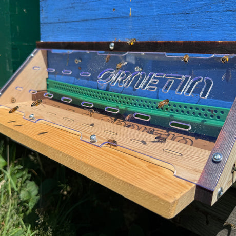 Museliere anti frelon asiatique. Ornetin Asian hornet muzzle installed at a beehive entrance to protect honey bees from Vespa velutina attacks.