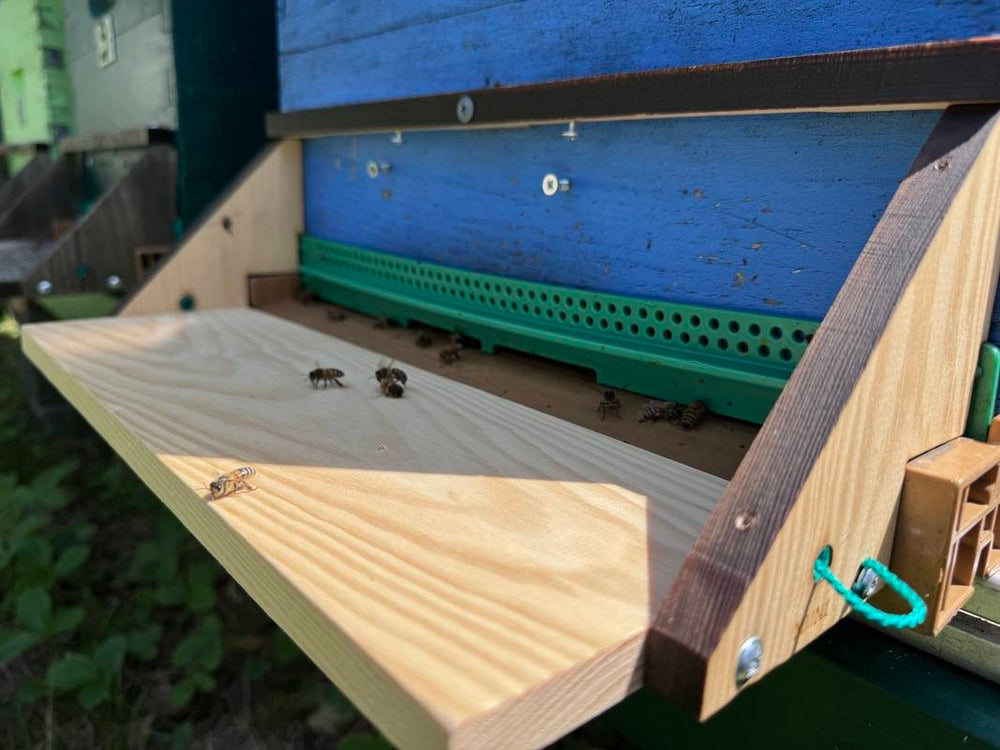 Ornetin Muzzle landing and take-off board for bees during the off-season
