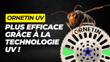 Introduction to Ornetin UV
