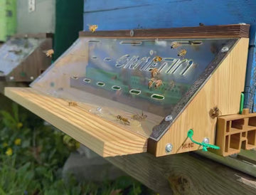 Bees safely entering and leaving the hive through the Ornetin muzzle barrier
