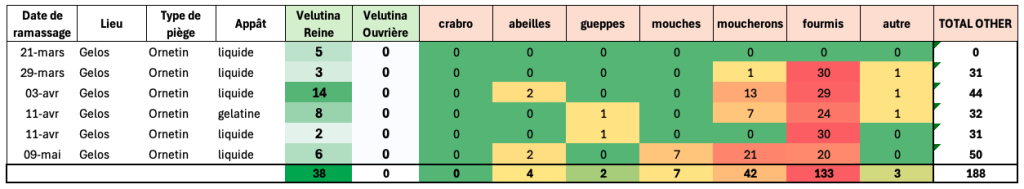 Tableau de piégeage reines de frelon asiatique