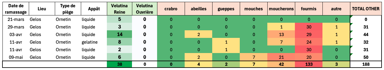 Tabla de captura de reinas de avispa asiática